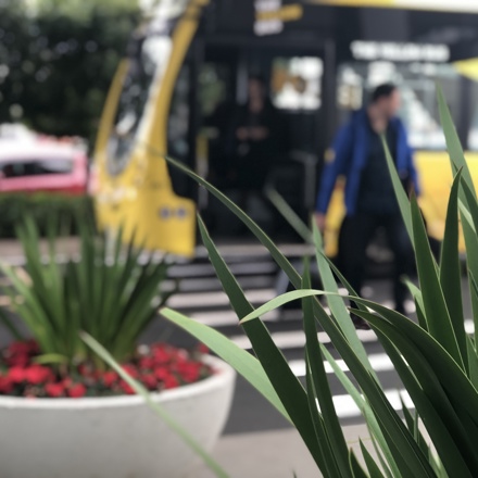 Leaves of plant in focus at front. Man in blue getting off yellow bus and crossing path with travel bag in out of focus background
